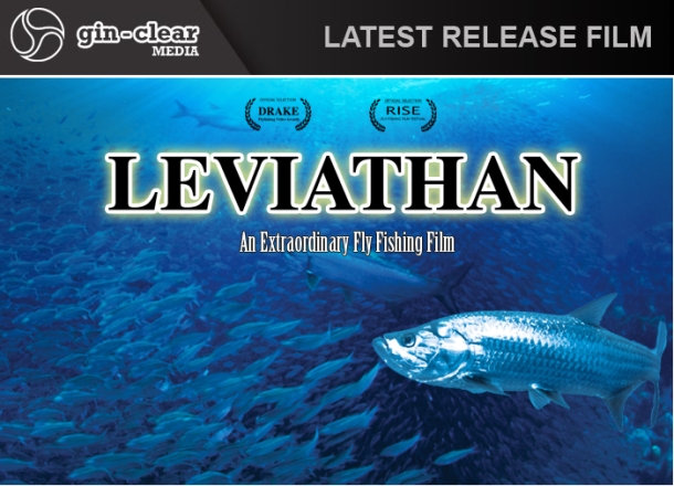 Image: Shane Chalker